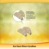 Ear Gear Micro Cordless (Binaural) | Up to 1" Hearing Aids |Brown