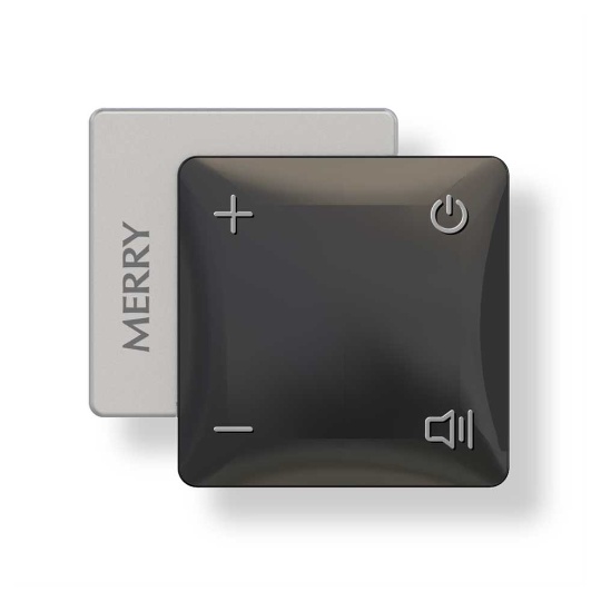 Merry Black Personal Sound Amplifier