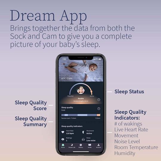 Owlet Dream Duo | Bedtime Blue