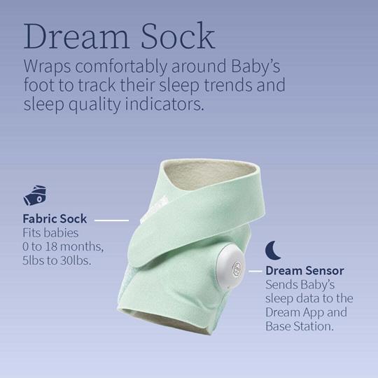 Owlet Dream Duo | Bedtime Blue