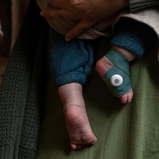 Owlet Dream Sock | Smart Baby Monitor | Deep Sea Green