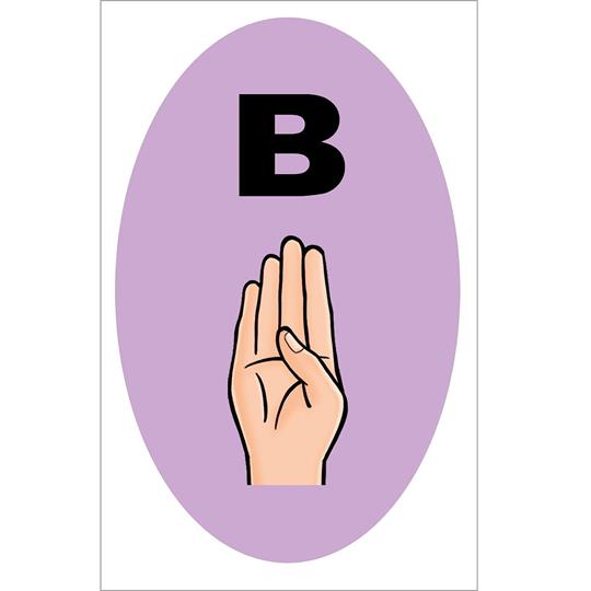 Seniors Sign, Too! | Flash Cards