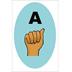 Seniors Sign, Too! | Flash Cards